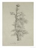 Caspar David Friedrich - Ancient Oak Tree with a Stork's Nest, 23rd May 1806 - Giclee Baskı