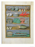 Illustration from the Book of Simple Medicines by Mattheaus Platearius Giclee Print by Robinet Testard