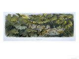 Wood Elves at Play, Illustration from In Fairyland: A Series of Pictures from the Elf-World Giclee Print by Richard Doyle