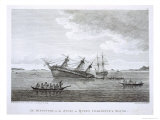 The Discovery on the Rocks in Queen Charlotte's Sound, Engraved by B.T. Pouney, c.1790-99 Giclee Print by William Alexander