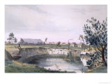 Messrs' Arthur's Sheep Station. Mount Schank in Distance, South Australia Illustrated, c.1847 Giclee Print by George French Angas