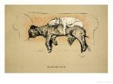 Elevation, 1930, 1st Edition of Sleeping Partners Reproduction procédé giclée par Cecil Aldin