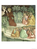 Christ in the Garden of Gethsemane, from a Series of Scenes of the New Testament Giclee Print by Barna Da Siena 