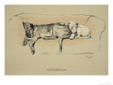 Separation, 1930, 1st Edition of Sleeping Partners Reproduction procédé giclée par Cecil Aldin