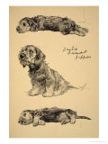 Dandie Dinmont Puppies, 1930, Just Among Friends, Aldin, Cecil Charles Windsor Giclee Print by Cecil Aldin