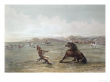 Catching Wild Horses on the Plains Lámina giclée por George Catlin
