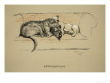 Approbation, 1930, 1st Edition of Sleeping Partners Reproduction procédé giclée par Cecil Aldin