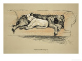 Probation, 1930, 1st Edition of Sleeping Partners Reproduction procédé giclée par Cecil Aldin