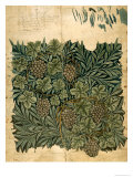 Design For Vine Wallpaper, c.1872 reproduction procédé giclée par William Morris