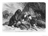 Man at the Time of the Bear and the Mammoth, Illustration from L'Homme Primitif by Louis Figuier Giclee-trykk av Emile Antoine Bayard