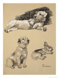 Terriers, 1930, Just Among Friends, Aldin, Cecil Charles Windsor Reproduction procédé giclée par Cecil Aldin