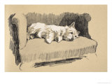 West Highlander, 1930, Just Among Friends, Aldin, Cecil Charles Windsor Reproduction procédé giclée par Cecil Aldin