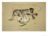 D-Nation, 1930, 1st Edition of Sleeping Partners Reproduction procédé giclée par Cecil Aldin