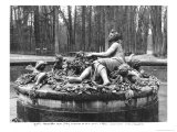 Group of Flora Giclee Print by Jean Baptiste I Tuby