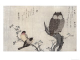 Owl and Two Eastern Bullfinches, Birds Compared in Humorous Songs, c.1791 reproduction procédé giclée par Utamaro Kitagawa 