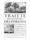 Traite de La Culture Des Forets Giclée-Druck von Sebastien Le Pretre de Vauban