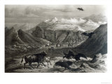 Calf Being Attacked by the Condors, from Historia de ChileEngraved by F.Lehnert, 1834 Giclee Print by Claudio Gay
