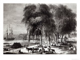Fish Market, Paramribo, from Voyage a Surinam, 1834 Giclee-trykk av Pierre J. Benoit Fish Market, Paramribo, from Voyage a Surinam, 1834 Giclee-trykk av Pierre J. Benoit