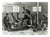 Taking Virus from the Calf, Illustration from Harper's Weekly in 1872 Giclee Print by Stanley Fox