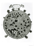 Surface of the Sun Showing Sunspots, from Mundus Subterraneus Published in Amsterdam 1664-5 Giclee Print by Athanasius Kircher