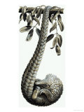 The Pangolin Giclee Print by R. B. Davis