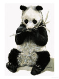 Panda Giclee Print by R. B. Davis