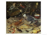 Still Life of Birds and Insects, 1637 Giclee Print by Georg Flegel