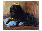 Black Standard Poodle on a Blue Cushion, 1895 Giclee Print by John Emms