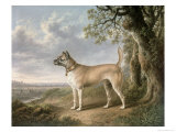 Terrier on a Path in a Wooded Landscape Giclee Print by Charles Towne
