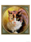 Head Study of a Tortoiseshell Cat, 1866 Giclee Print by William John Huggins