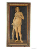 Venus Lámina giclée por Lorenzo di Credi Venus Lámina giclée por Lorenzo di Credi