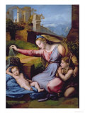 The Madonna of the Blue Diadem or the Madonna of the Veil Giclee Print by Raphael 