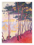 Sailing Boats and Pine Trees, 1896 Giclee Print by Paul Signac