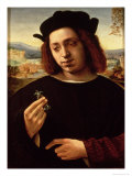 Portrait of a Man, or the Jeweller Wydruk giclee autor Ridolfo Ghirlandaio