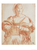 Study of a Seated Woman Holding a Book Giclee Print by Andrea del Sarto 