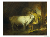 The White Bull in the Stable Reproduction procédé giclée par Jean-Honoré Fragonard