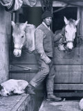 Capt. Oates and Two of the Ponies on the Terra Nova, from Scott's Last Expedition Lámina fotográfica por Herbert Ponting