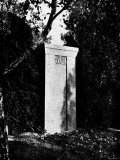 View of Gustav Mahler's Gravestone Photographic Print