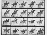 Man and Horse Jumping a Fence, Plate 640 from Animal Locomotion, 1887 Photographie par Eadweard Muybridge