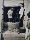Howard Carter Fotografisk trykk av Harry Burton