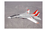 Airplane - F-14 Tomcat Láminas Airplane - F-14 Tomcat Láminas