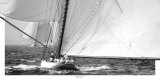 Majestic Sail Posters af Guillaume Plisson Majestic Sail Posters af Guillaume Plisson