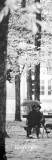 Paris Photo