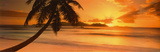 Sunset Prints