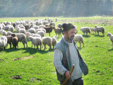 A Shepherd Stands by His Sheep in Miclosoara, Romania, October 2006 Photographic Print by Rupert Wolfe-murray