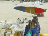 A Somaliland Woman Waits for Customers, in Hargeisa, Somalia September 27, 2006 Photographic Print by Sayyid Azim