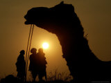 A Camel Stands as Villagers Walk at Sunrise at the Annual Cattle Fair in Pushkar, November 3, 2006 Photographic Print by Rajesh Kumar Singh