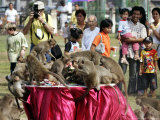 Tourists Gather to Watch Long-Tailed Macaques During an Annual Festival to Honor Them Photographic Print by David Longstreath