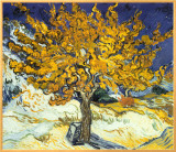 Mulberry Tree, c.1889 Framed Canvas Print by Vincent van Gogh