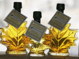Bottles of Maple Syrup at the Morse Farm Store in East Montpelier, Vermont, February 6, 2006 Photographic Print by Toby Talbot